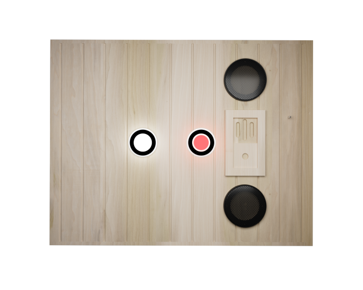 Far Infrared 1 Person Sauna with 5 Heating Panels - Wood and Glass