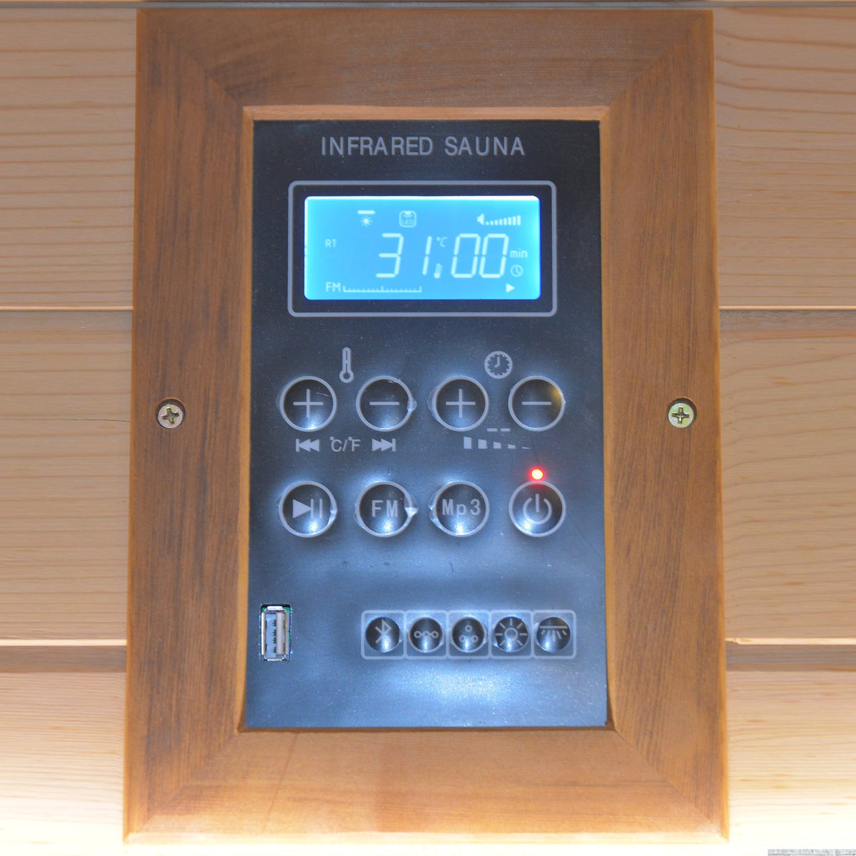 HOSAUNA Outdoor Sauna Room for 2